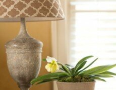 Refresh Your Room with a Stenciled Lamp Shade