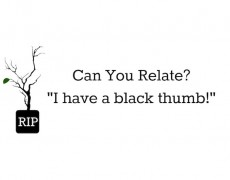 Can You Relate? I have a black thumb!